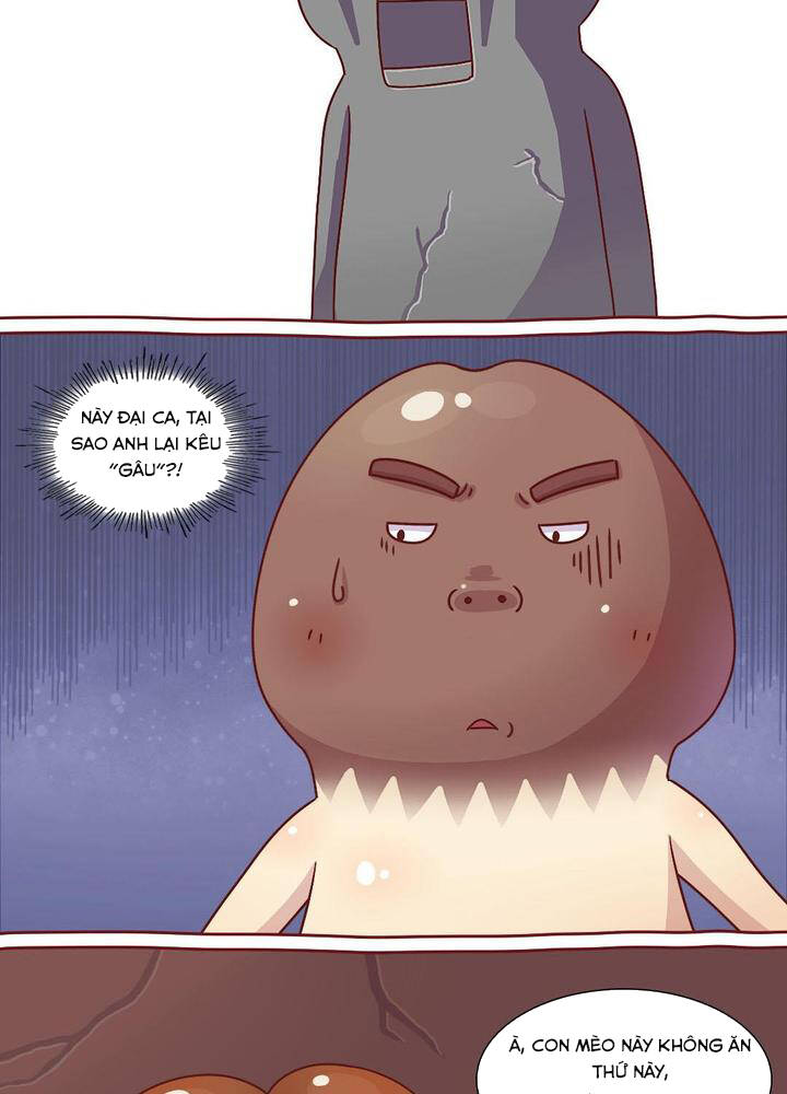 cây nấm kì khả chapter 15 9