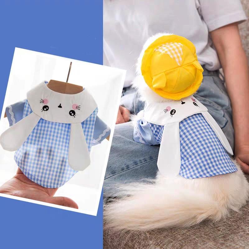 Áo cho chó mèo thời trang thỏ xanh ngọc caro đáng yêu cute