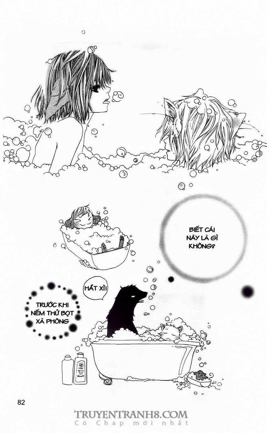 những ngày tươi đẹp chapter 20 18