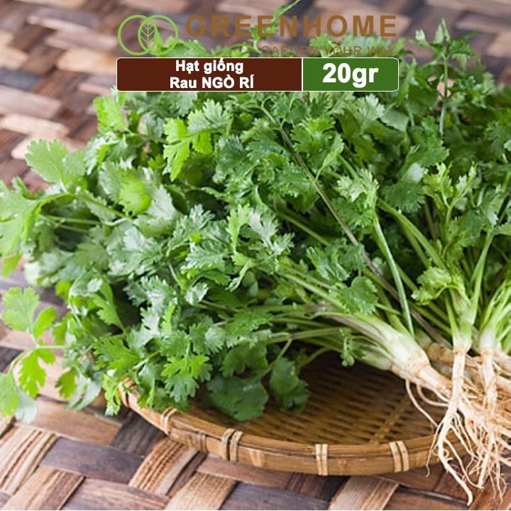 Hạt Giống Ngò Rí Greenhome, Gói 20gr, Dễ Trồng Quanh Năm, Nảy Mầm Cao, Thu Hoạch Nhanh, Năng Suất Cao G03
