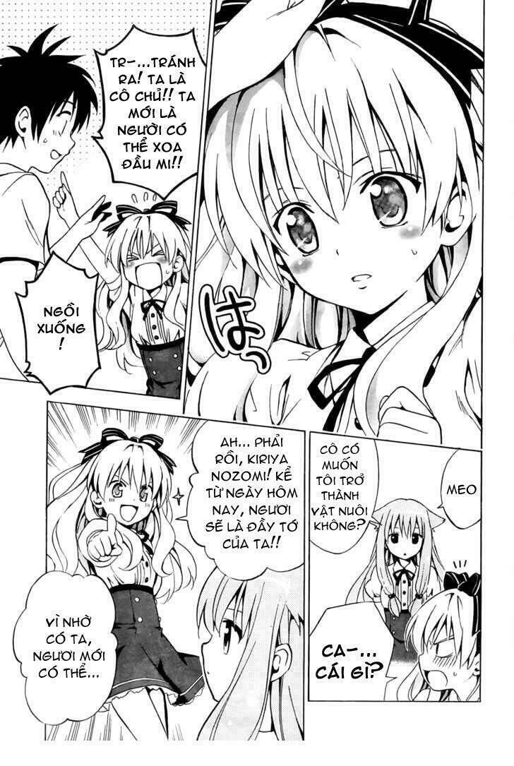 mayoi neko overrun! chapter 2 16