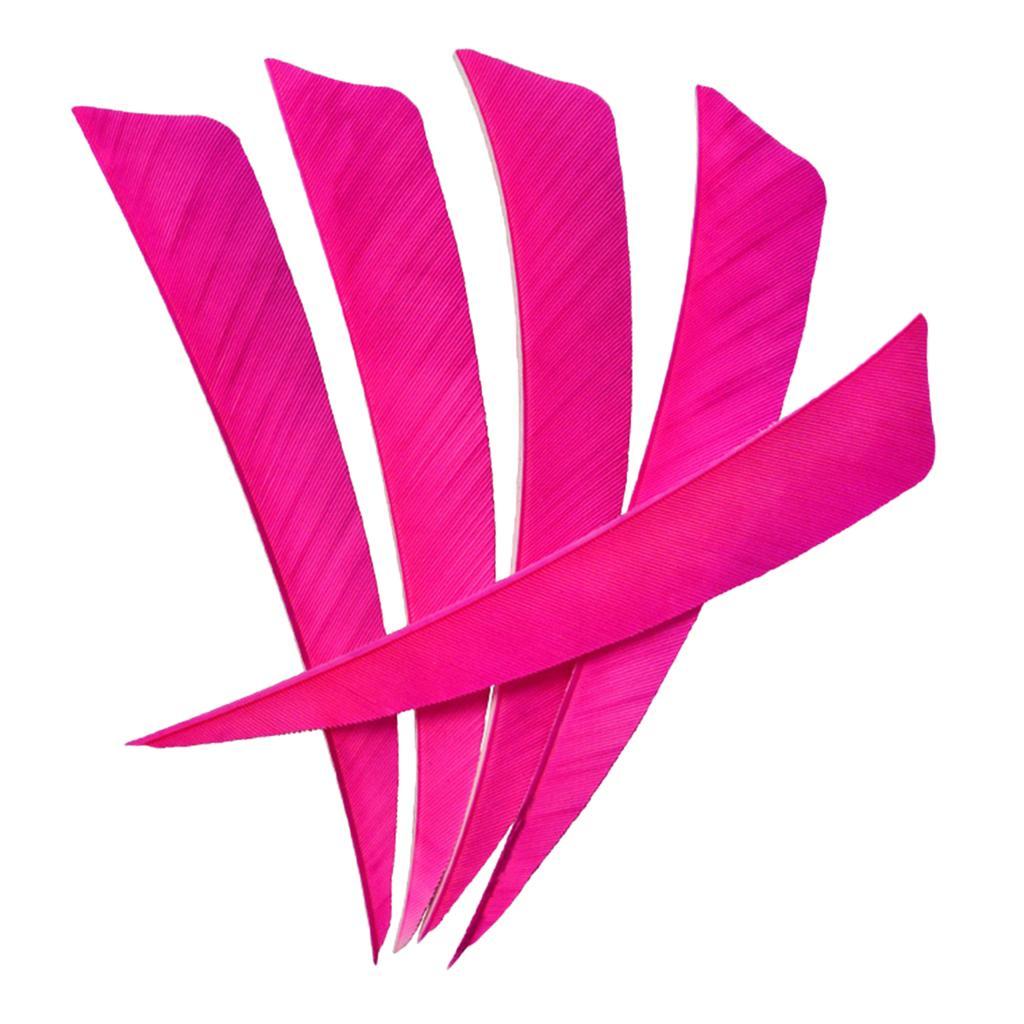 2-6pack 12 Pieces 4 Inch Archery Arrow Feathers Fletchings Vanes Rose Red