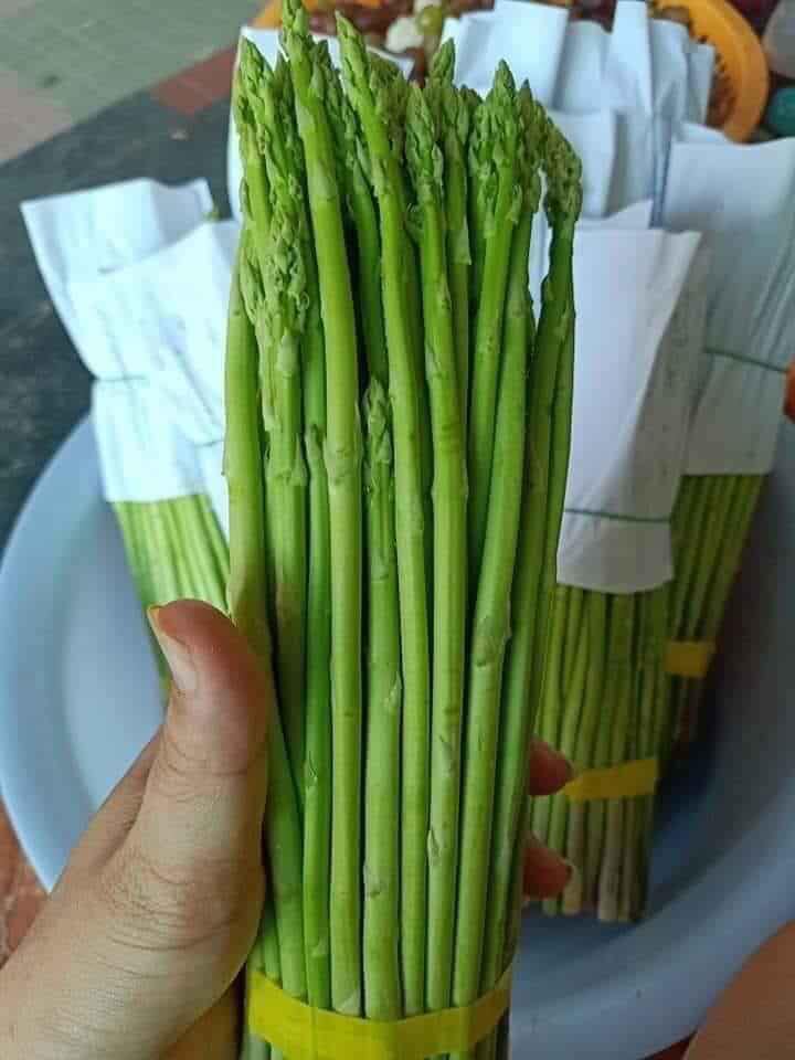 Hạt Giống Măng Tây Xanh Cao Sản
