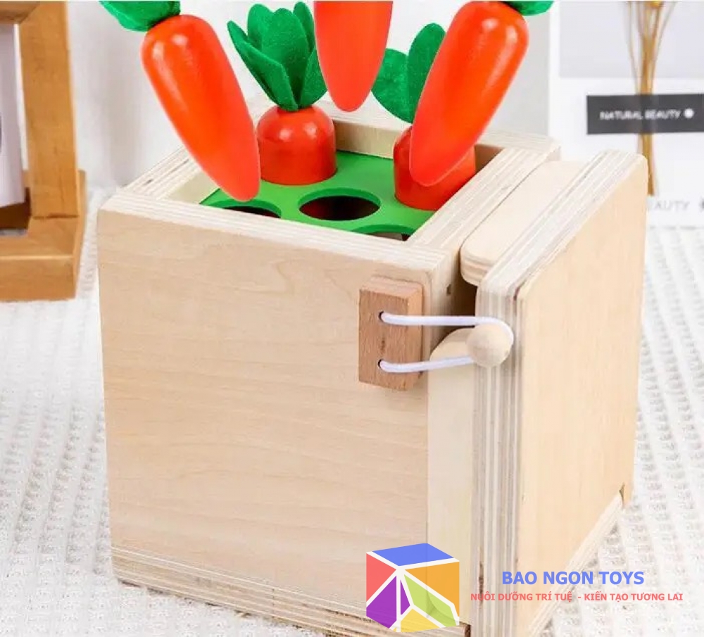Hộp thả bóng montessori đa chức năng giúp bé phát triển vận động tinh đồ chơi câu sâu, trồng cà rốt BAO NGON TOYS DG178