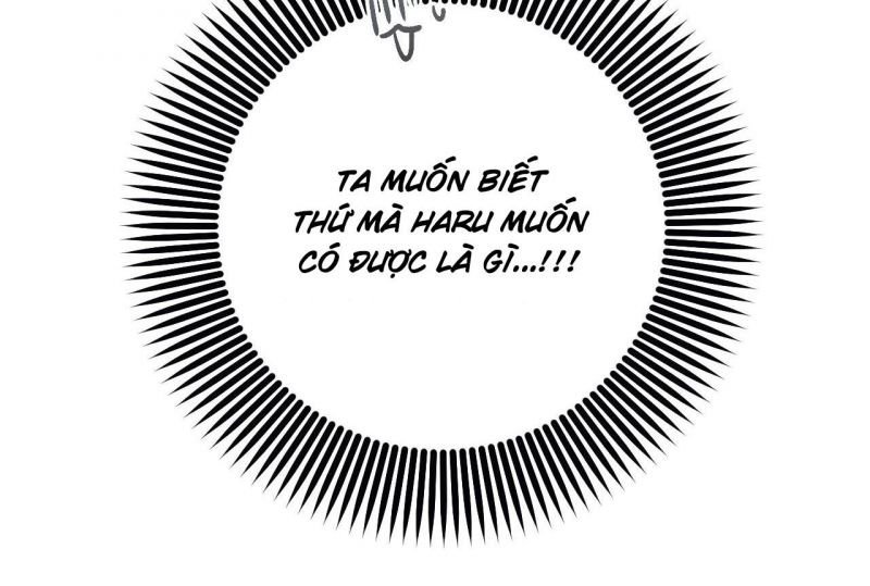 những chú thỏ của hapypy chapter 64.5 74