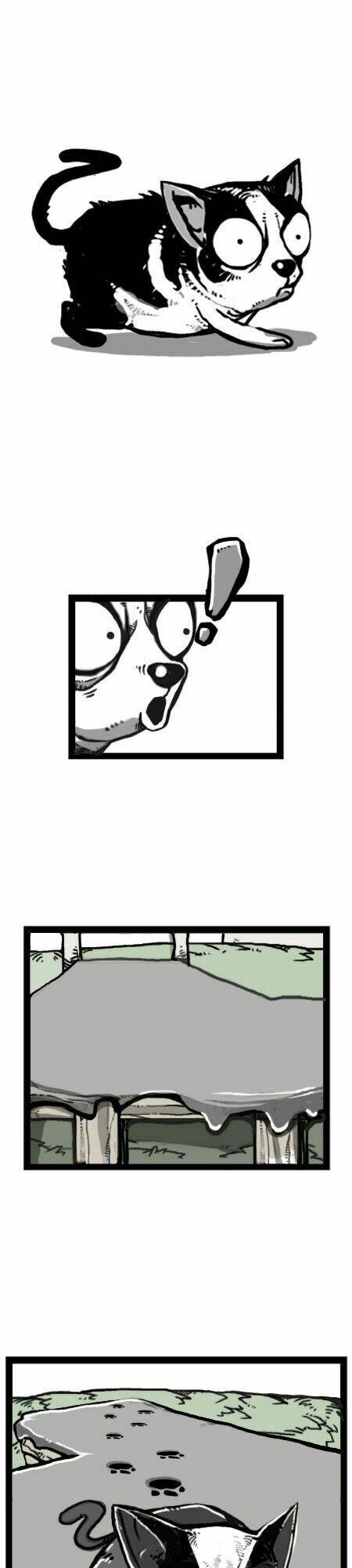 earth, human, and animal chapter 21 12