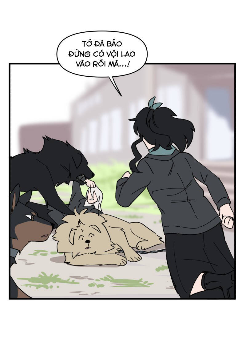 lumine - cội nguồn ánh sáng chapter 151 9