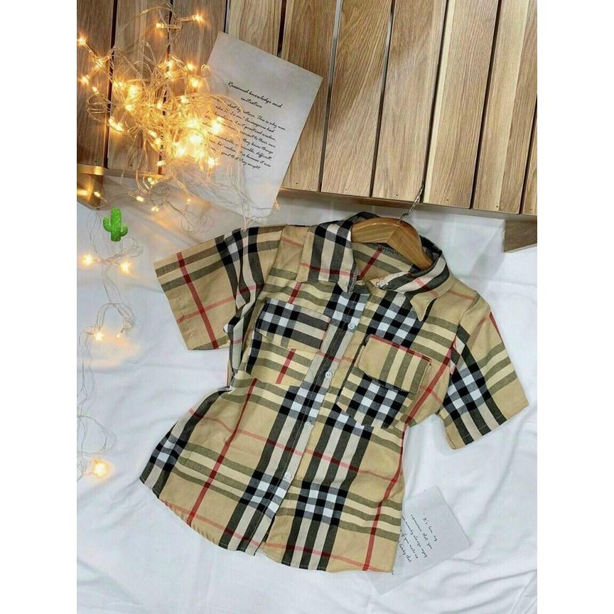 Áo somi nữ tay ngắn sọc Caro BBR