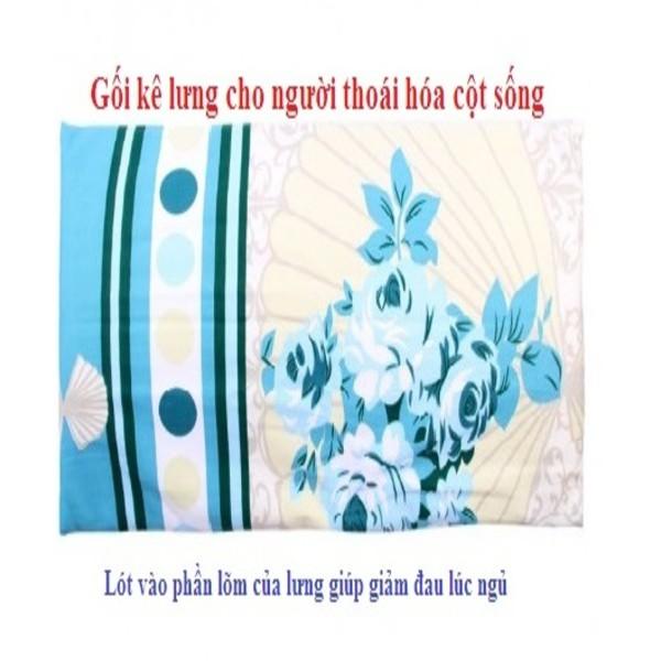 Bộ gối bảo vệ cột sống cổ và thắt lưng khi ngủ