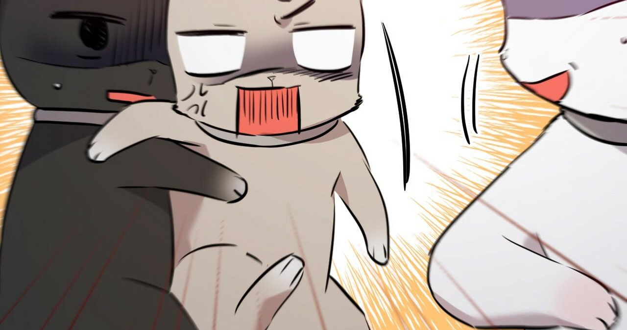 đàn thỏ của habibi chapter 47 31