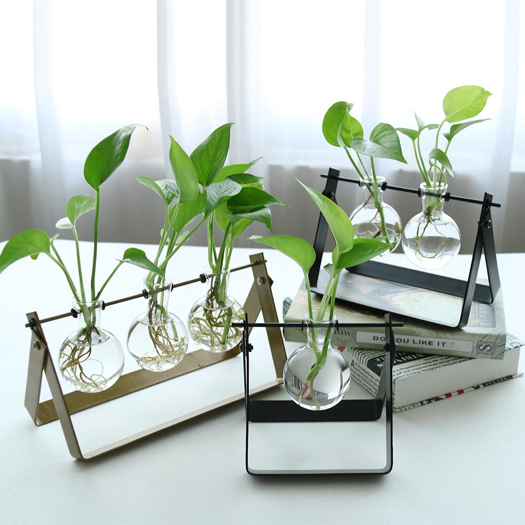 Ball Shape Glass Flower vase Hydroponic Bottle Terrarium With Iron Stand