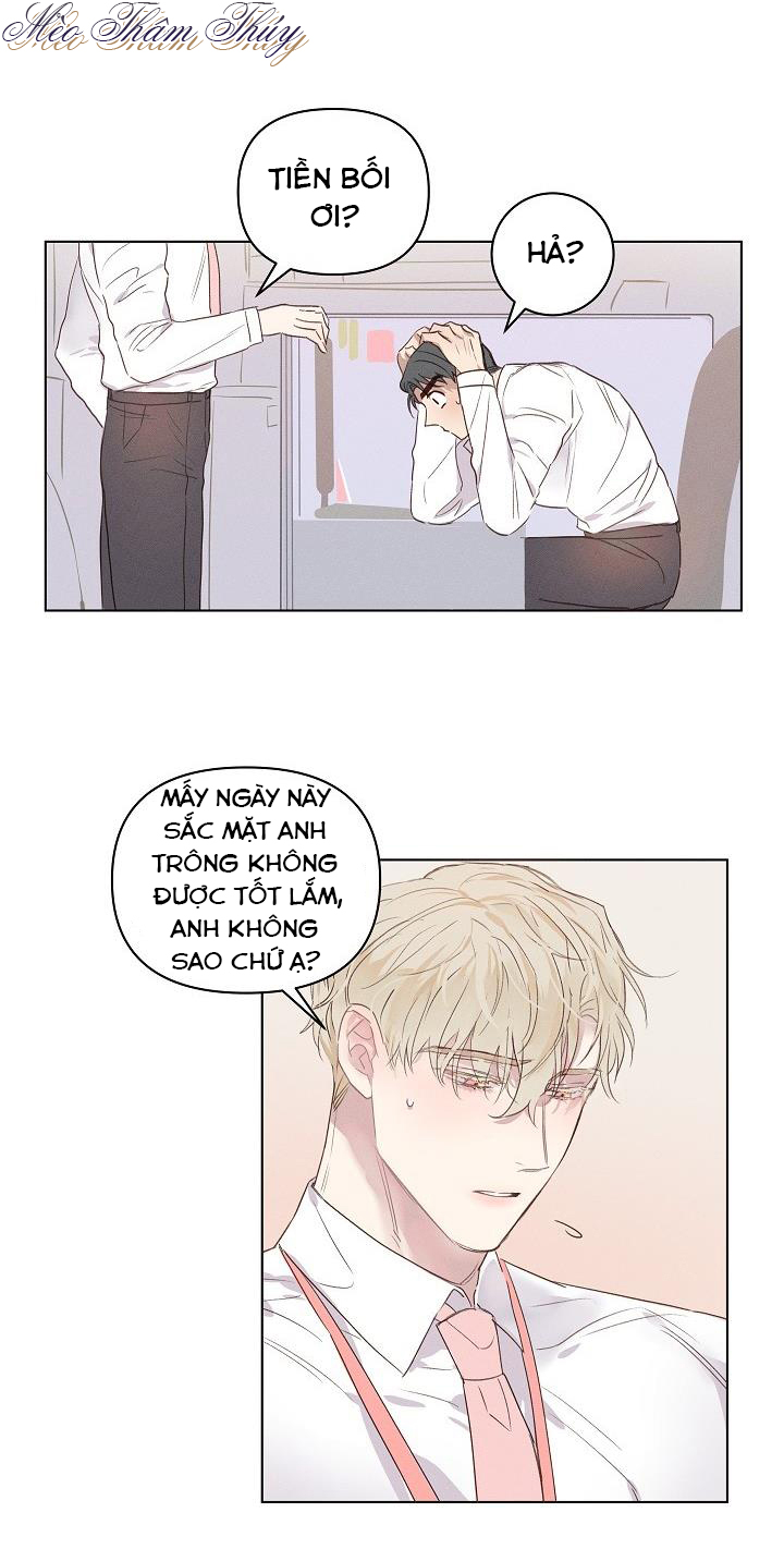 nơi tình yêu định mệnh chapter 2 8