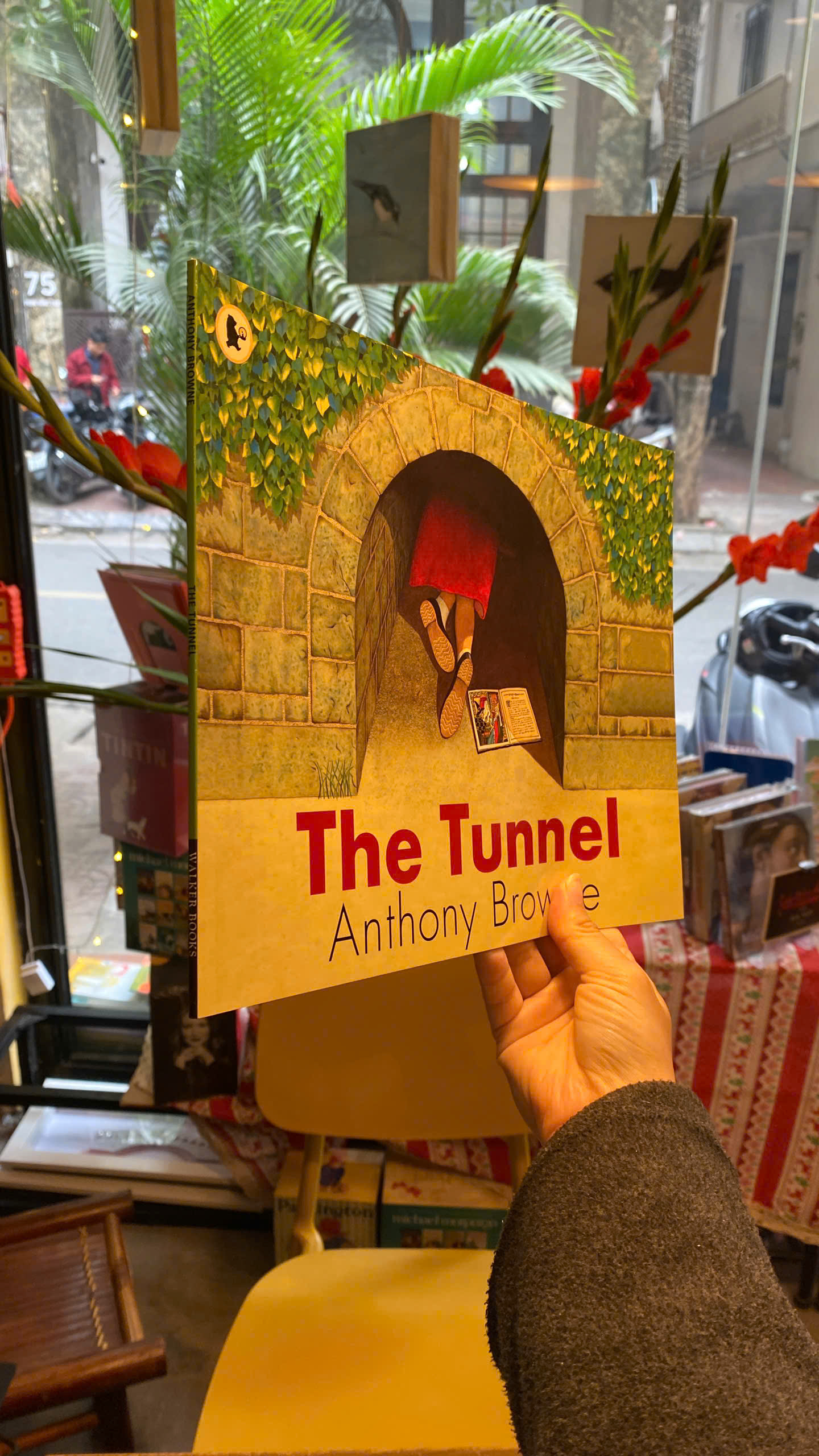 Sách - The Tunnel by Anthony Browne | Children's English Picture Book