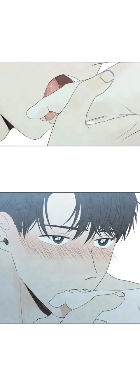 summer solstice point chapter 19 18