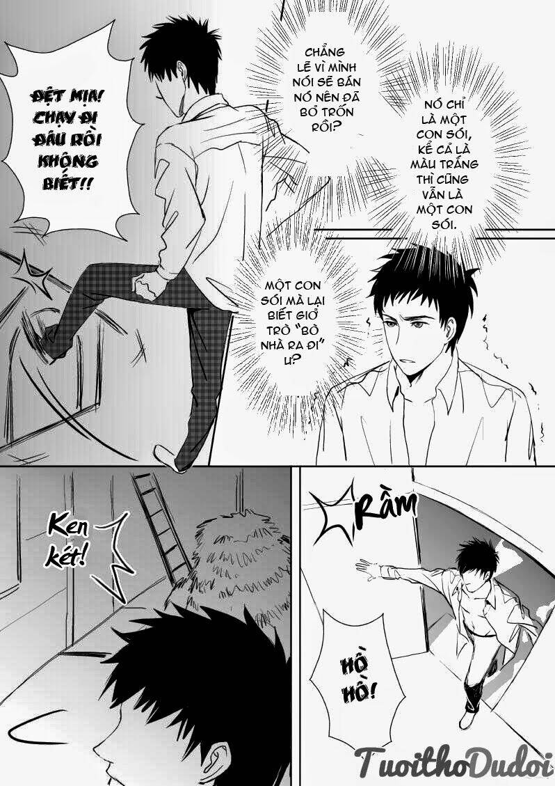 sự mê hoặc của sói chapter 10 6