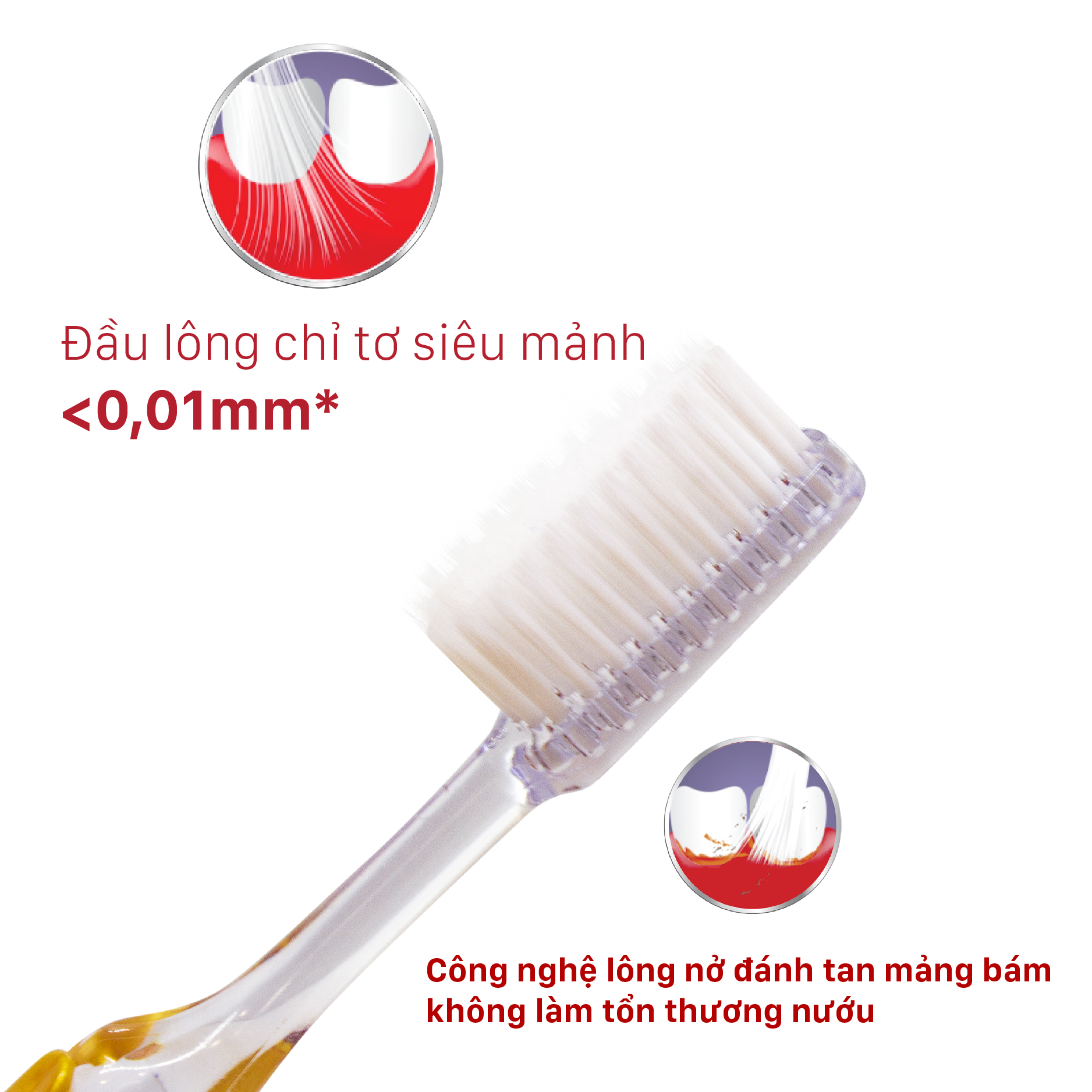 Bàn Chải Đánh Răng LIPZO Pro For Man Công Nghệ Lông Nở Kết Hợp Chỉ Tơ Nha Khoa Dành Cho Nam Giới Mem Răng Yếu