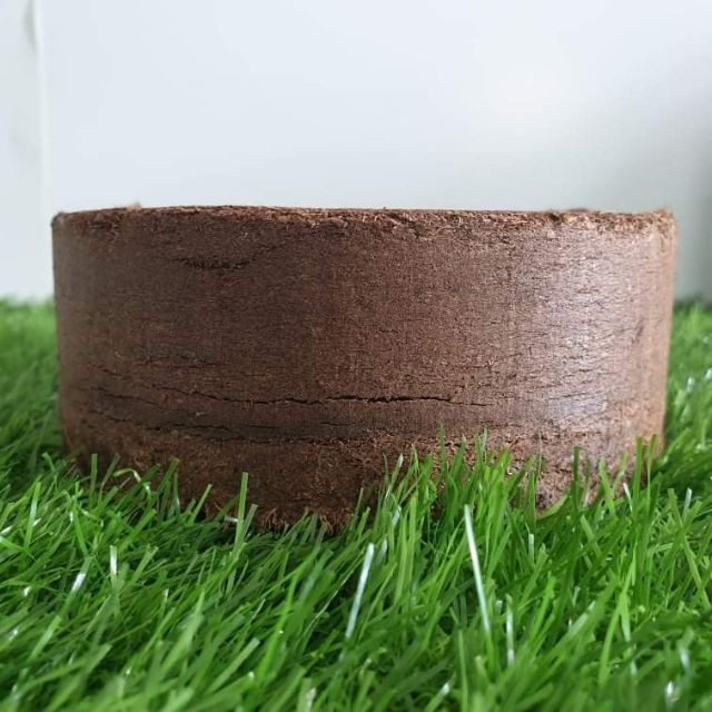 Bánh nén mụn xơ dừa   ~5dm3