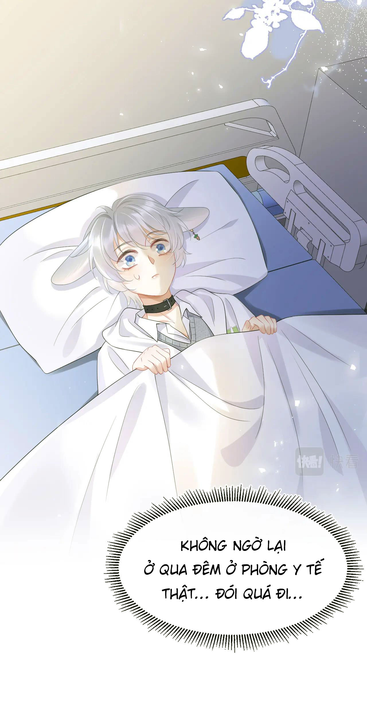 một miếng ăn sạch thỏ chapter 5 43