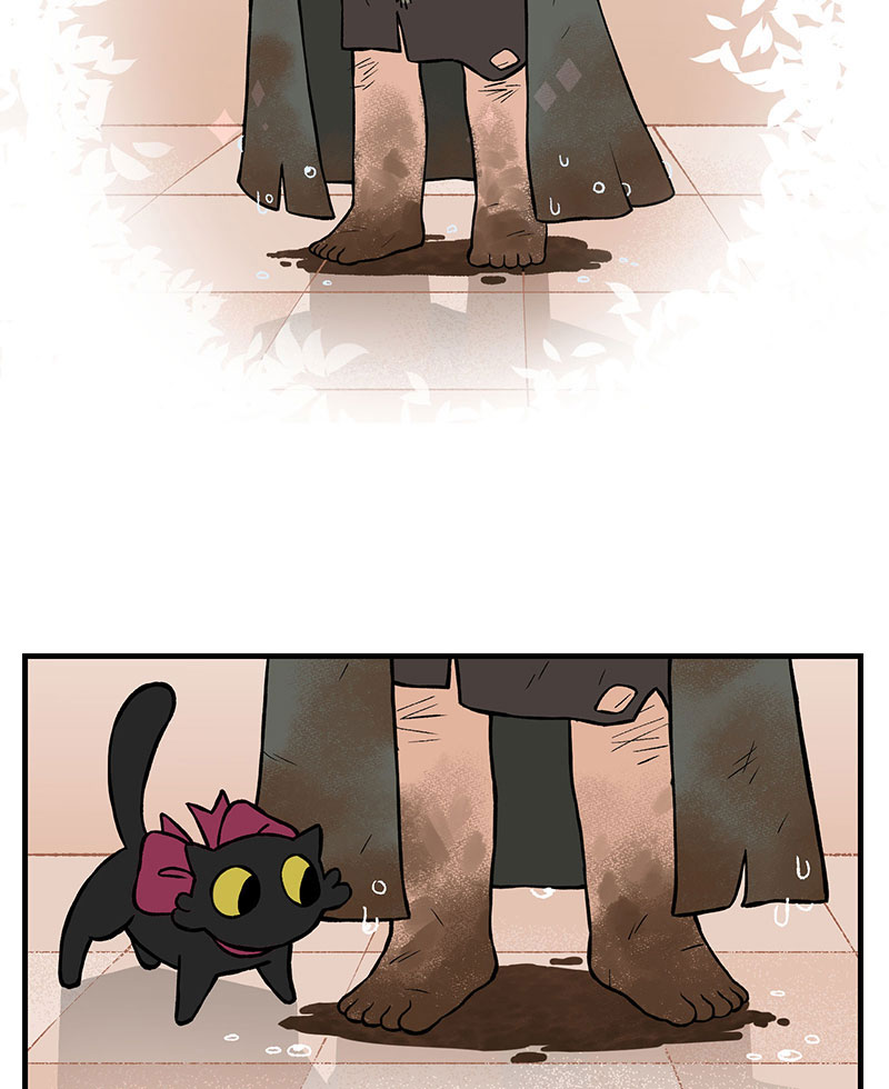 người cầu hôn chapter 1 19