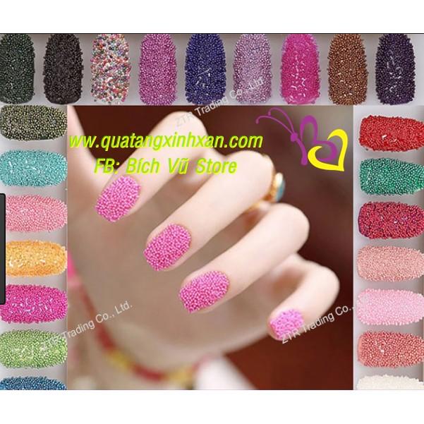 Set bi nail 12 màu