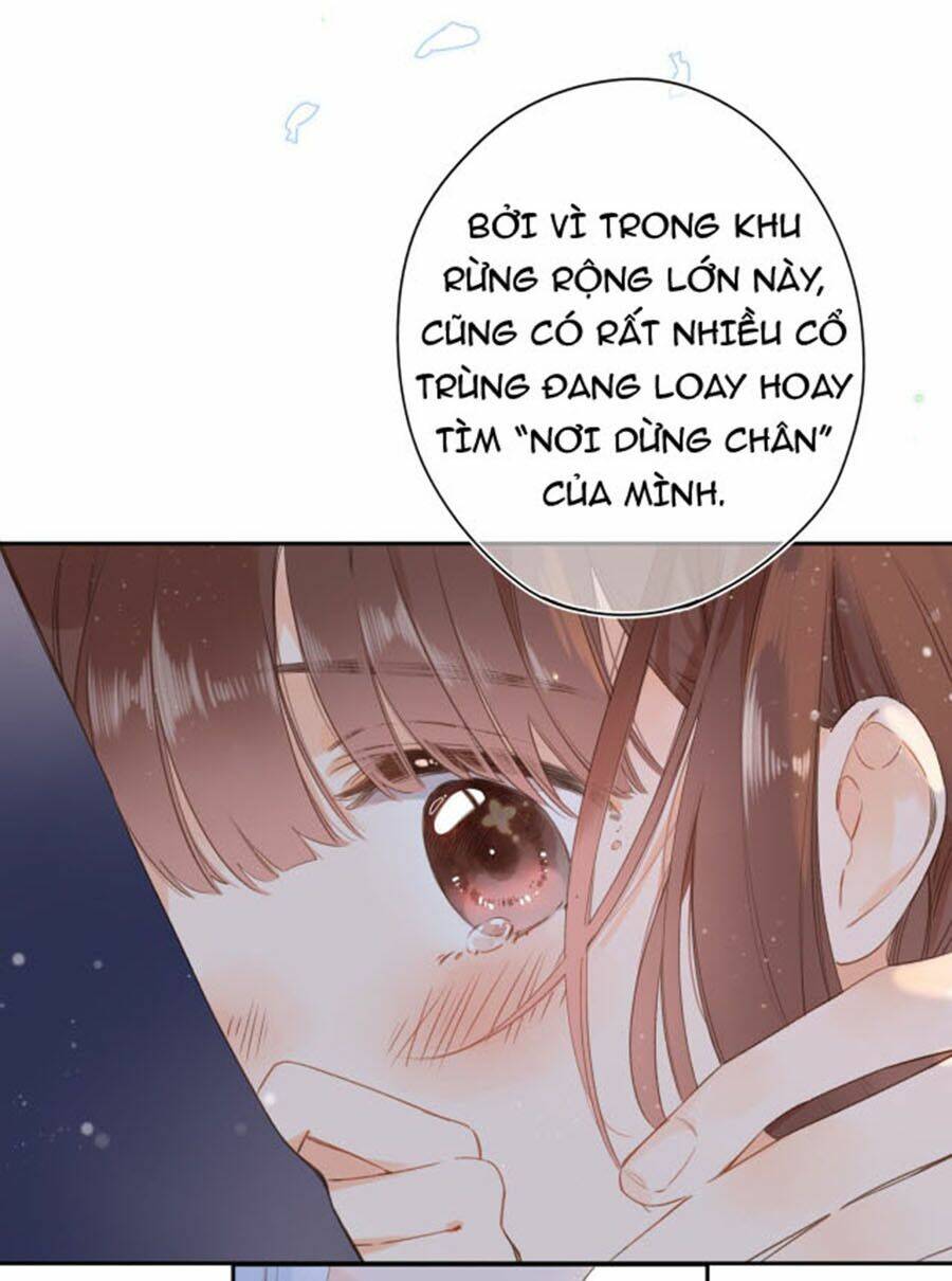 sos! tôi đã yêu một con sâu bướm (phần 2) chapter 5 52