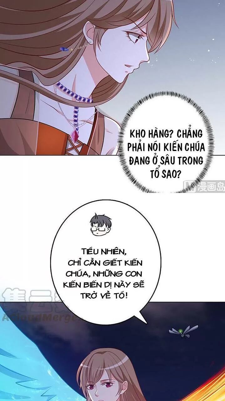 quy luật tình yêu ở mạt thế chapter 254 7