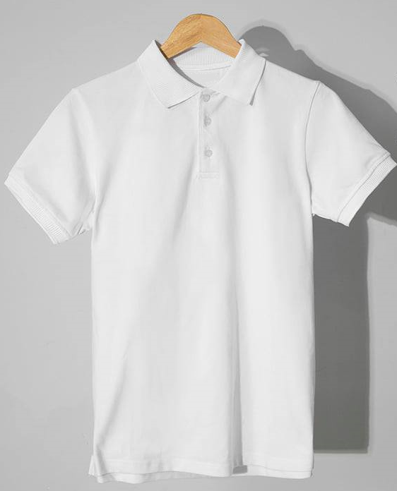Áo PoLo Nam- Áo thun nam ngắn tay có cổ Vải Cá Sấu Cao Cấp thấm hút mồ hôi co giãn thoải mái