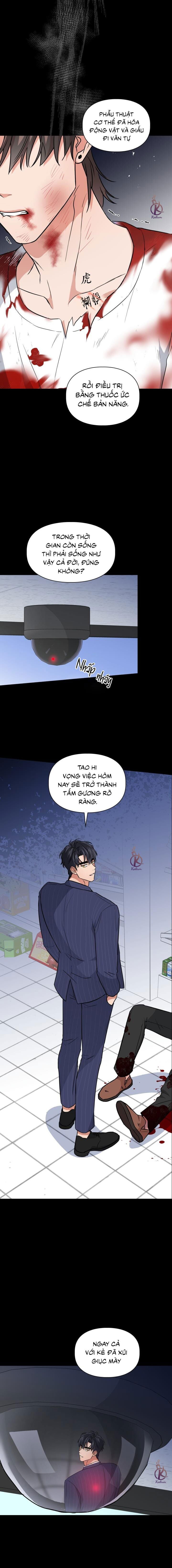mồi nhử chapter 60 5