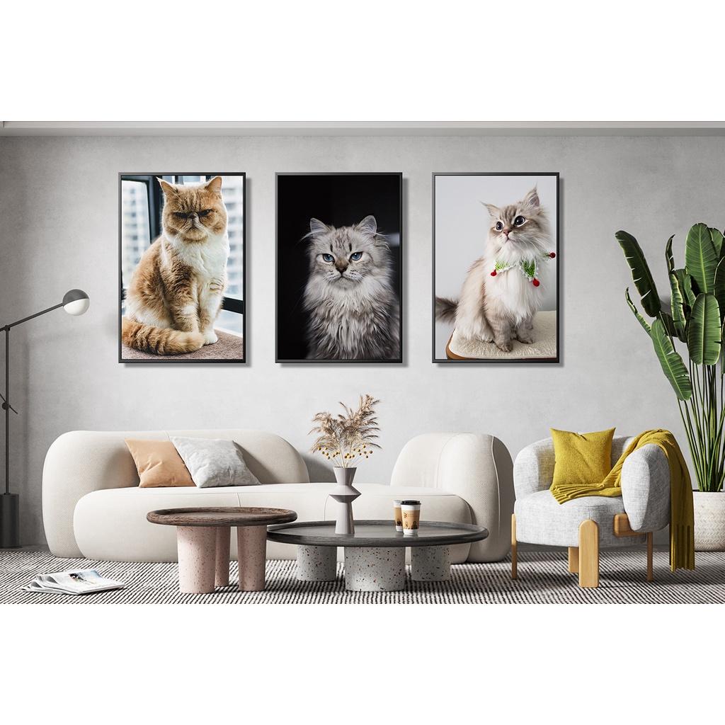 Bộ 03 tranh canvas treo tường chủ đề MIU CƯNG + khung composite và đinh treo – decor phòng xinh xắn và ấn tượng – BST01