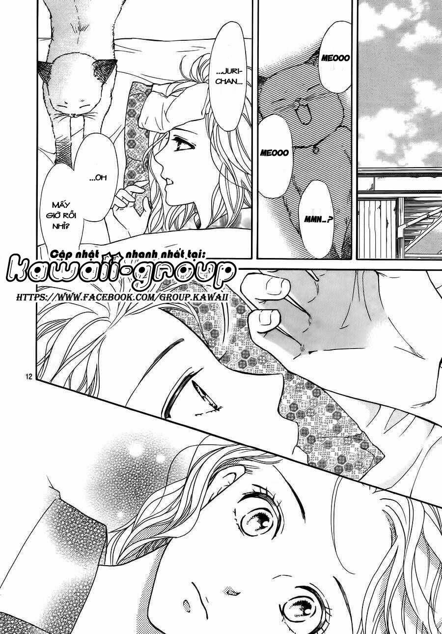 sumika sumire chapter 37 15