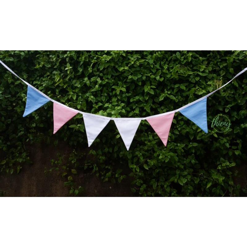 Dây cờ tam giác nhiều màu cầu vồng, trang trí decor, dây cờ Transgender chuyển giới LGBTQ+ Flag