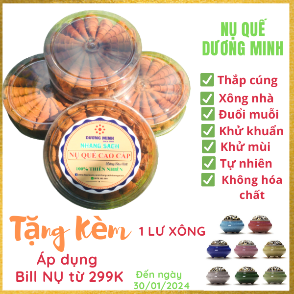 Nụ Trầm Hương - Nụ khói ngược hương Quế, Trầm, Bồ Kết cao cấp Dương Minh - nhang sạch thành phần 100% thiên nhiên