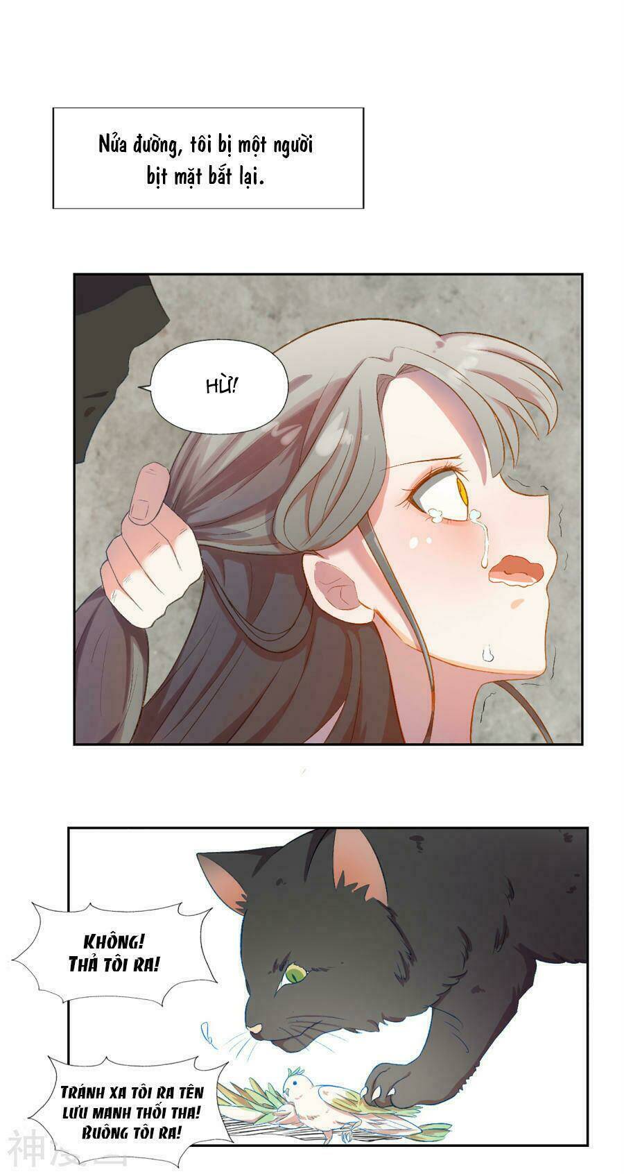 hôn nhân dục vọng: thiếu gia nhẹ một chút! chapter 2 5