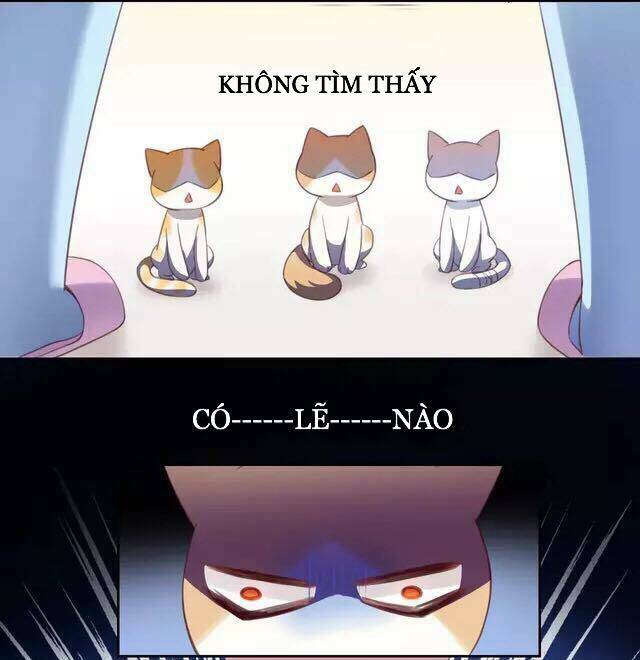 dưới móng vuốt mèo chapter 20 4