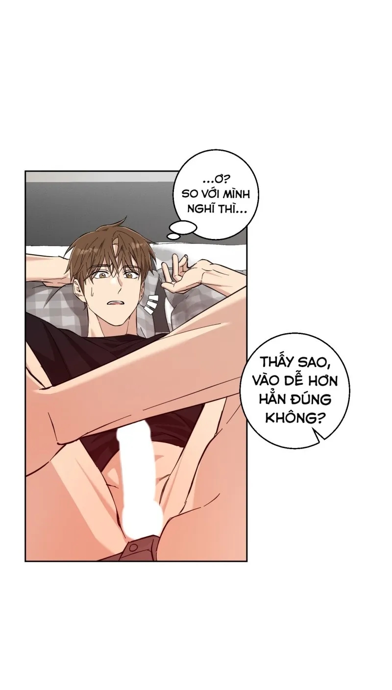 hãy bảo vệ tình yêu thuần khiết! chapter 11 67