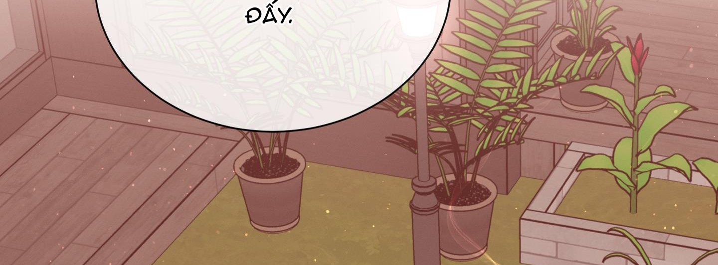 hội chứng minmotion chapter 28 259