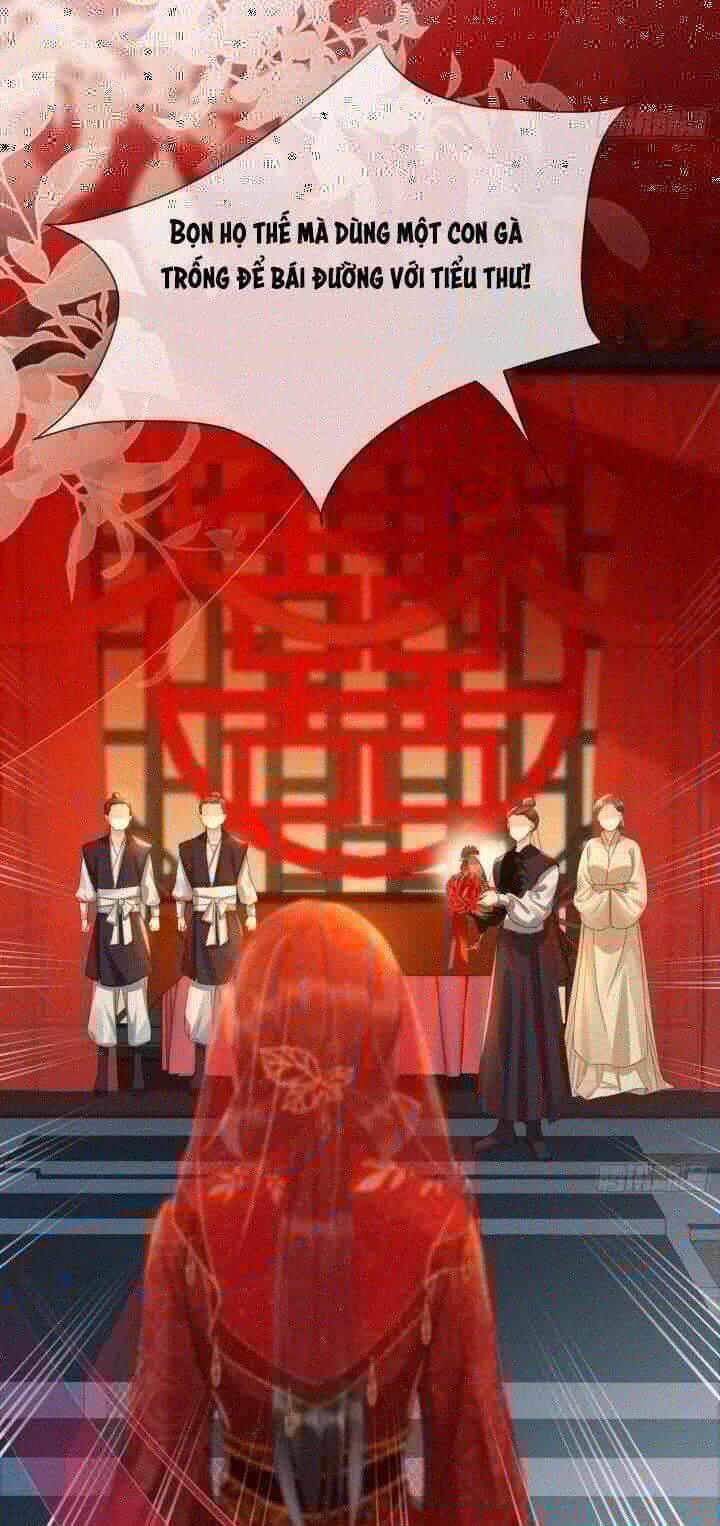 kế hoạch nuôi dưỡng bệnh kiều vương gia chapter 2 9