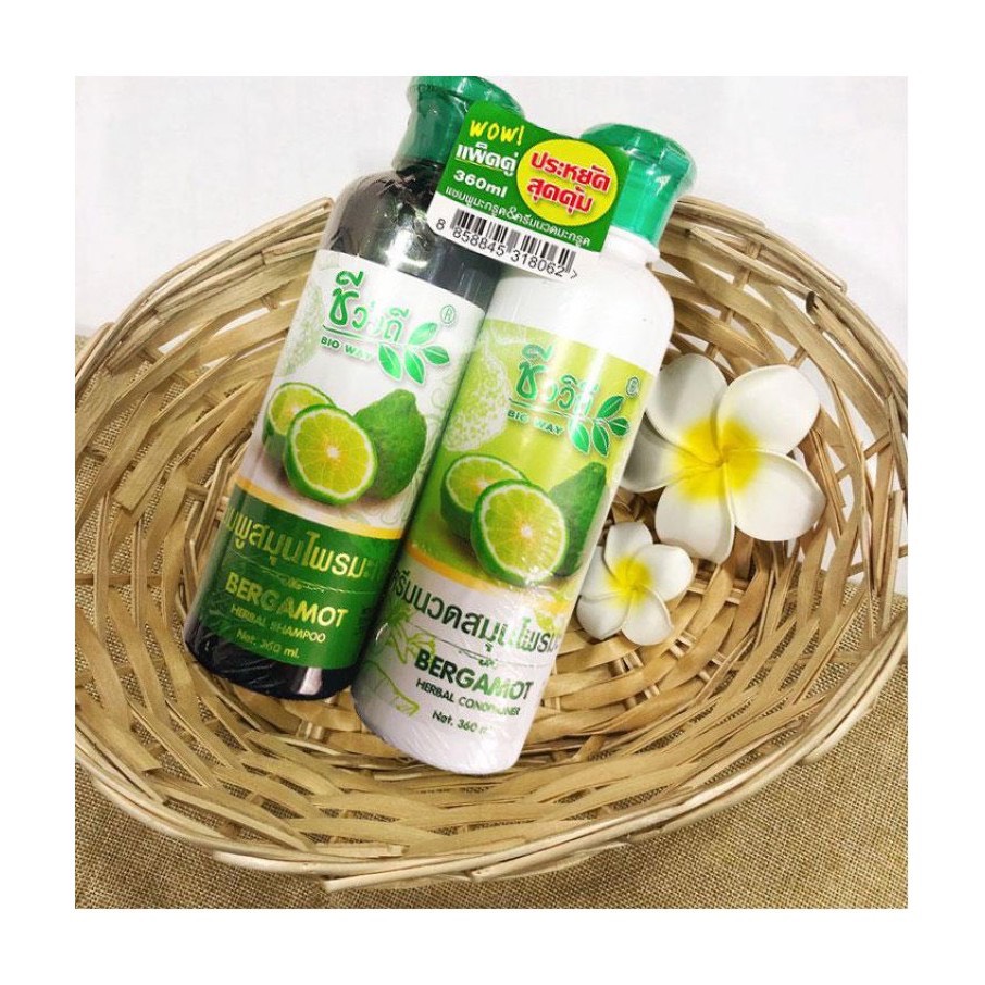 CẶP DẦUGỘIXẢ CHACHAI 360ML TINHCHẤTCHANH MỌCTÓCNHANH,GIẢ