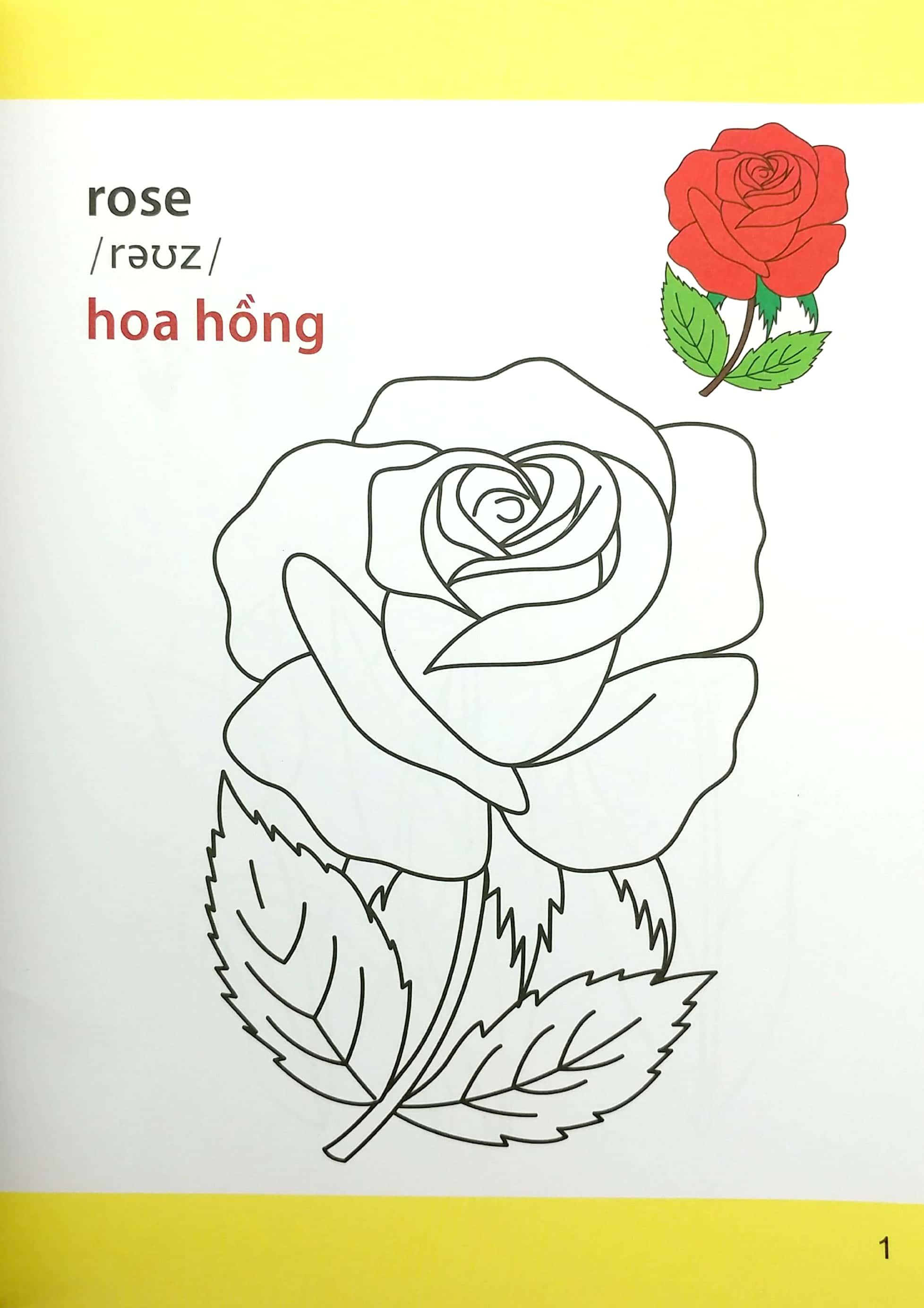 Bộ Sách Giờ Học Tô Màu Của Bé (Bộ 8 Cuốn)