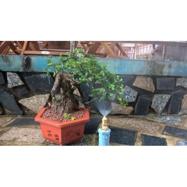 10 Béc phun sương đồng chân ren 21