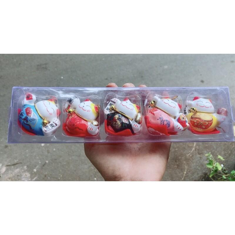 Combo 6 Mèo May Mắn