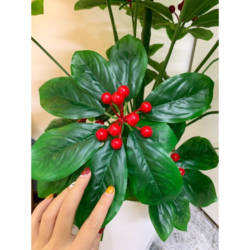 Cây kim ngân lượng giả - Size từ 70cm đến 160cm - Cây giả, hoa lụa Decor trang trí nhà cửa