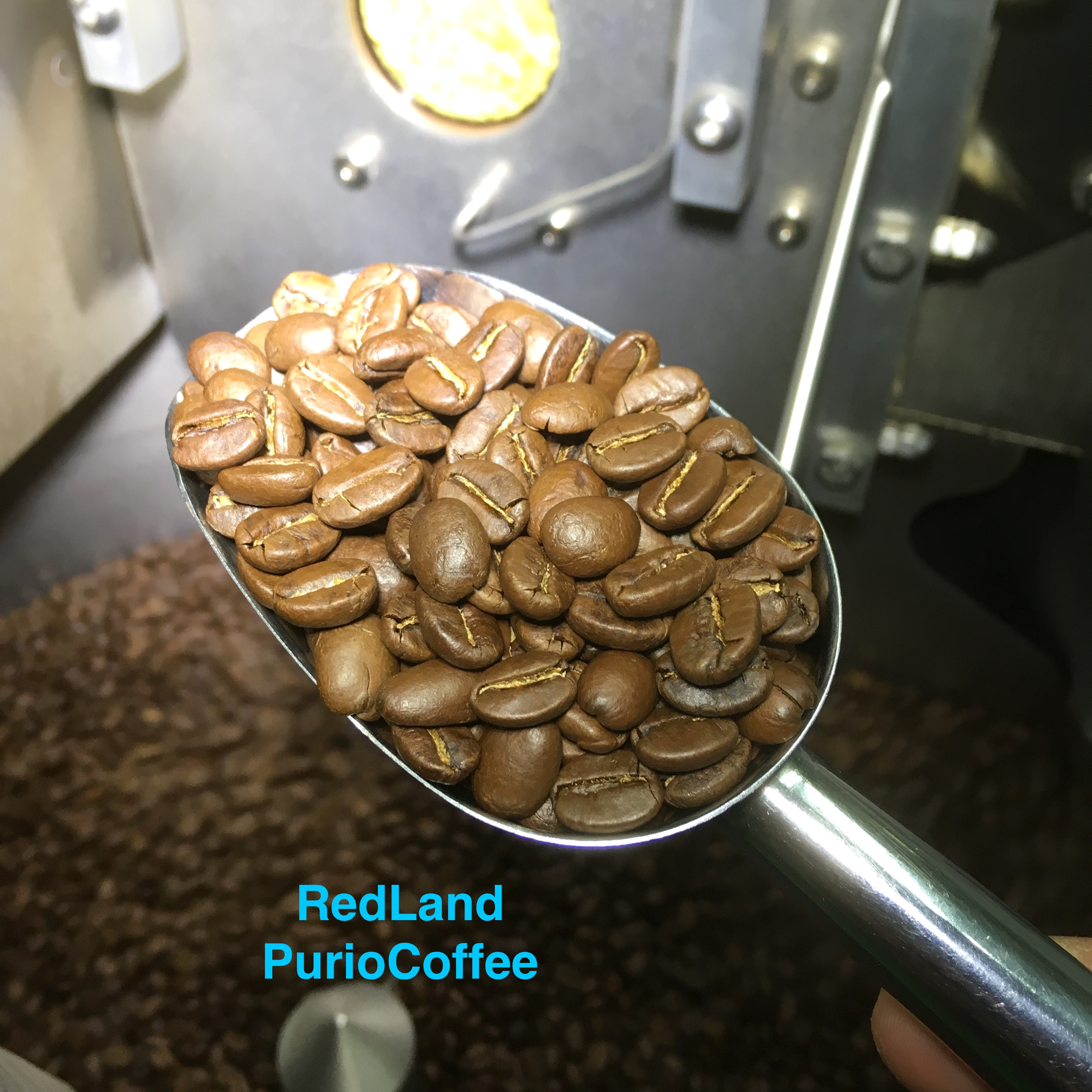 PURIO Ground Coffee - cà phê bột nguyên chất, Red land, 100% hạt Moka, Đắng dịu - Đạt tiêu chuẩn HACCP - Túi 250gr