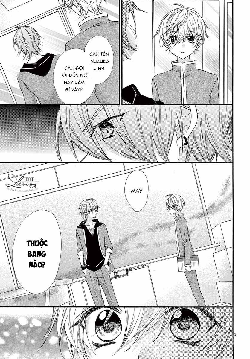 chàng rể giả nhân giả nghĩa chapter 4 3