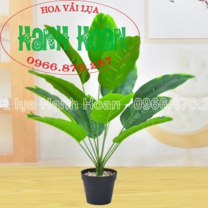 Cây chuối cảnh phong thủy 18 lá và 12 lá - Cây giả trang trí