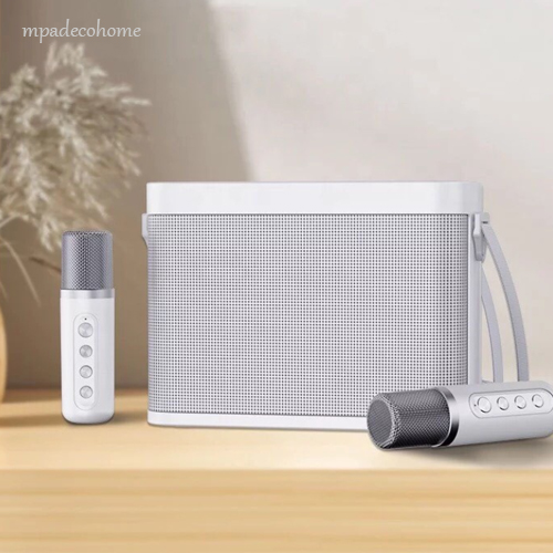 Loa karaoke YS-219 có 2 micro không dây kiêm Bluetooth