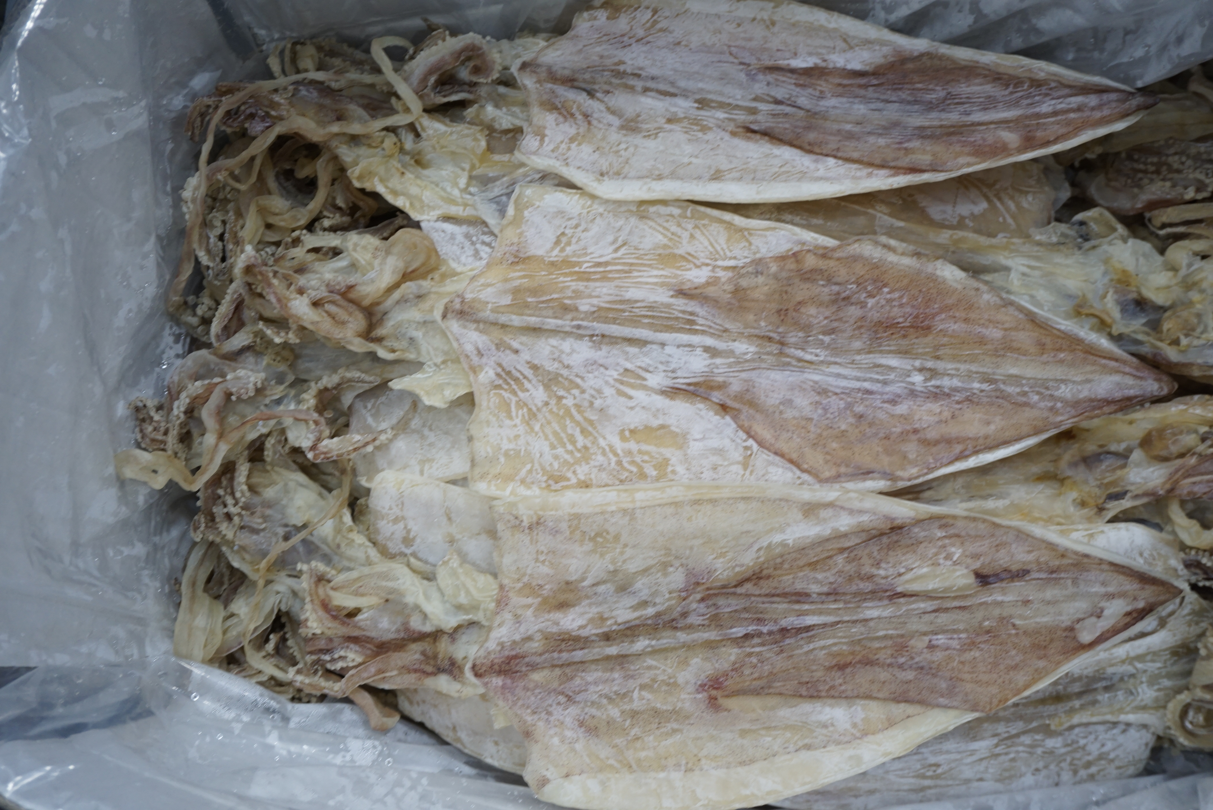 Đặc Sản Nha Trang - Mực Khô Lớn Loại 1 Size 12 Con/kg Seavy Gói 500G