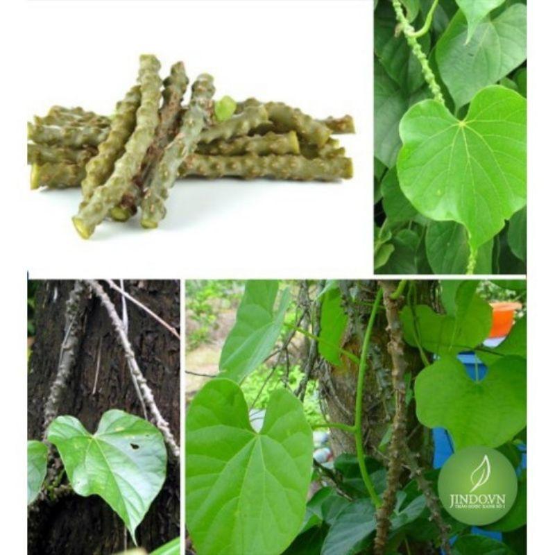 Dây Thần Thông Khô 1Kg