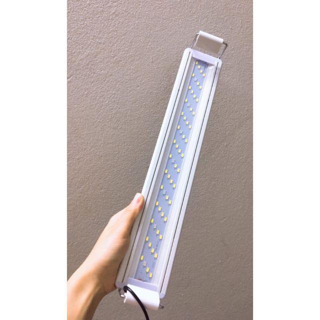 Đèn LED ánh sáng trắng