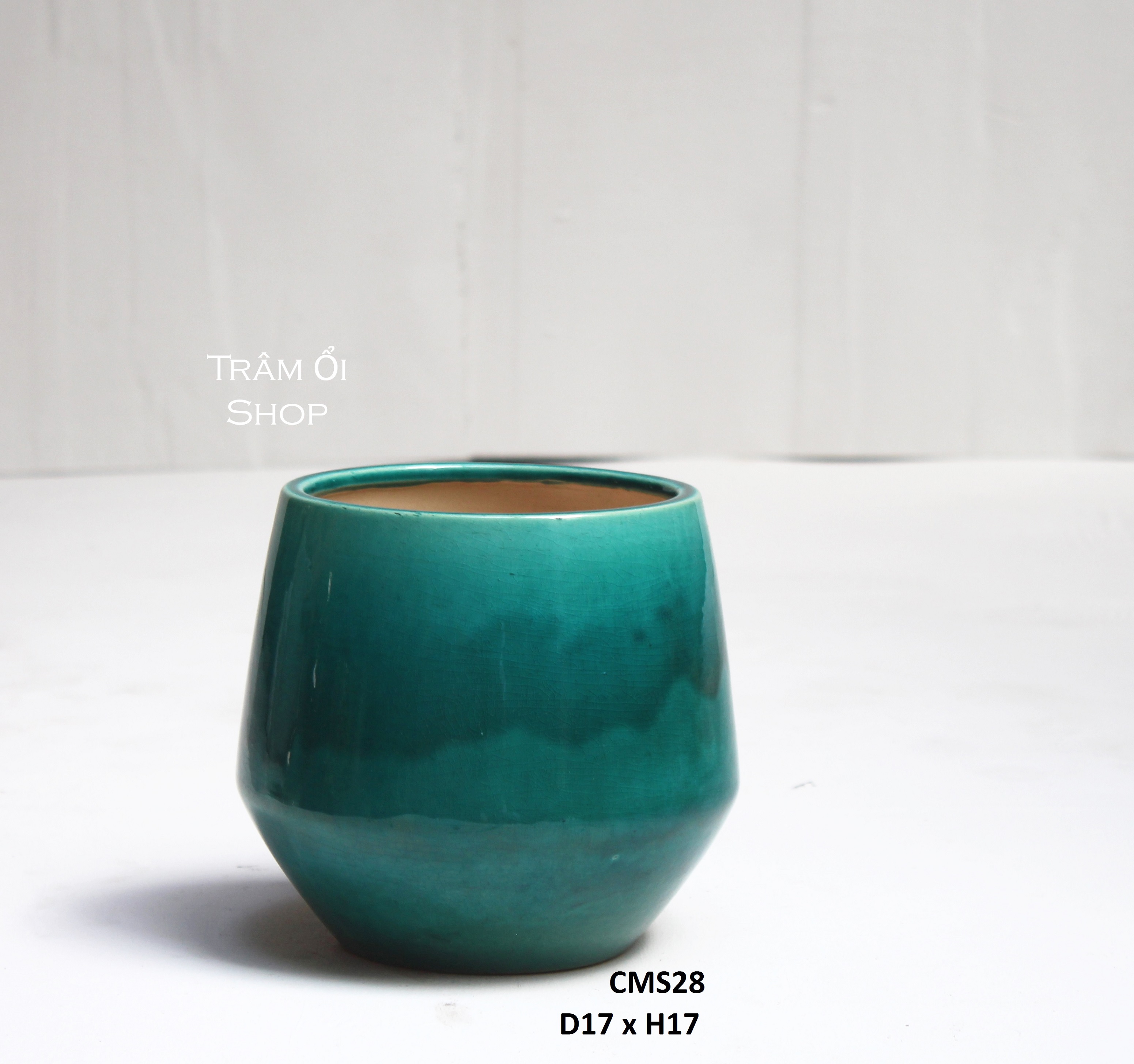 Chậu gốm và cây cảnh